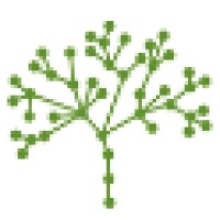 Austin Econetwork