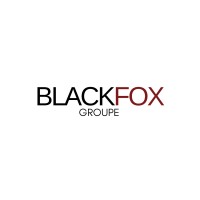 BlackFox Group logo - Similar company to Distributed Services