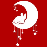 Northeastern University Chinese Student Association logo - Similar company to Chinese Student Association @ University Of Washington