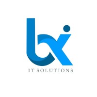 Binix IT Solutions logo - Similar company to Dev~Consult