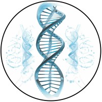 Lamb Consulting logo - Similar company to Lamb