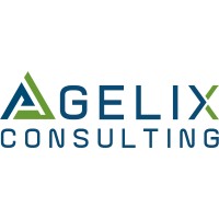 Agelix Consulting LLC logo - Similar company to Agilex