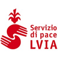 LVIA Ong logo - Similar company to Shaping Fair Cities