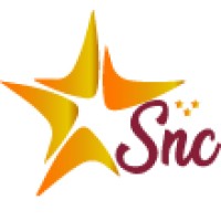 Stars N Celebs - First platform for Artists offering digital identity, earn and pay 