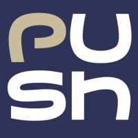 Push Venture Capital logo - Similar company to African Roots Partners