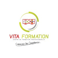 Vita Formation logo - Similar company to Netmedia Technologies