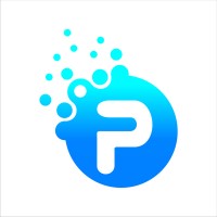 Pageview Infosolutions Pvt Ltd logo - Similar company to Megnotech Pvt Ltd