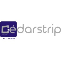 Cedarstrip Investment Limited logo - Similar company to Artbox Studio - Web Design Agency
