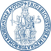 Computer Engineering @ Federico II University logo - Similar company to Echo Reply Consulting Group