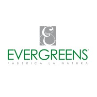 EVERGREENS logo - Similar company to Evergreens Web