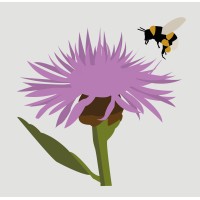 Merkle & Partner Biodiversitätsmanagment logo - Similar company to Swarmlab