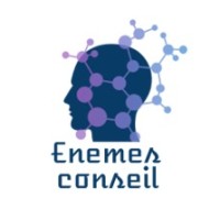 ENEMES Conseil logo - Similar company to Airmob Digital