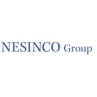 NESINCO Group logo - Similar company to Aformat