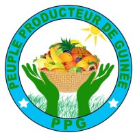 PPG GUINÉE logo - Similar company to Guinée Digital Solutions