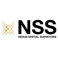Nexus Spatial Surveyors logo - Similar company to 3Linx Pty Ltd