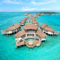 Maldives Jobs logo - Similar company to Segrace