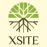XSITE Segurança da Informação logo - Similar company to Xsite