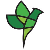 AIRNEX logo - Similar company to 3Majors