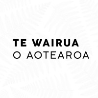 Te Wairua Limited logo - Similar company to Vapoureyes