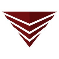 Vortex Digitals logo - Similar company to Nester Solutions