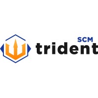 Trident SCM logo - Similar company to Summerlin Analytics