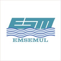 EMSEMUL S.A. logo - Similar company to Agencia Onegroup