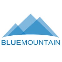 Bluemountain, Inc. logo - Similar company to Blumountain Services