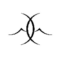 Seraph Technologies LTD logo - Similar company to Construct 3D