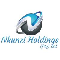 Nkunzi Holdings logo - Similar company to Engineering Solutions Africa