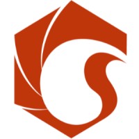Sunine Laser logo - Similar company to Future Tech Solutions