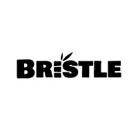 Bristle logo - Similar company to Truthbrush Ltd