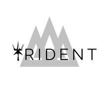 Trident Mobile logo - Similar company to Computrain Business Solutions, Ltd.