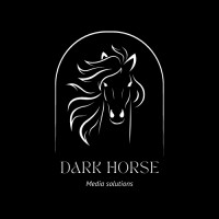 DARK HORSE MEDIA SOLUTIONS logo - Similar company to Future Ready Media