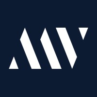 MetaView logo - Similar company to Techee Web Solutions