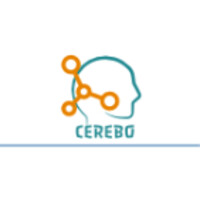 Cerebo Consulting (Pvt) Ltd logo - Similar company to Redlinecop