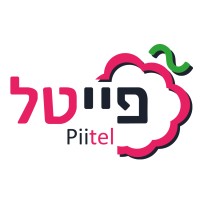 Piitel Raspberry Pi logo - Similar company to Qualivad