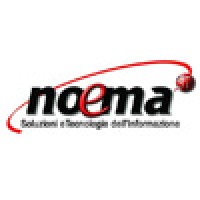 Noema STI logo - Similar company to Noema Project Kft