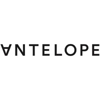 Antelope logo - Similar company to Blackcastle