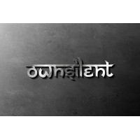 Own Silent International Limited logo - Similar company to Fleetmovil