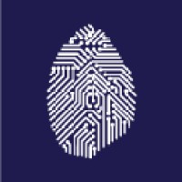 Existanze #connectingdots logo - Similar company to Nebulous