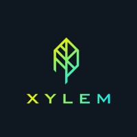 XYLEM Networks Ltd. logo - Similar company to Fracton Ventures