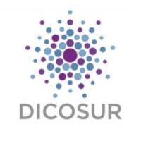 Distribuidora Dicosur logo - Similar company to Distribuidora Los Cuatro Del Sur S.R.L.