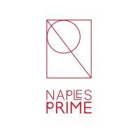 NAPLES PRIME S.A.S. CI logo - Similar company to Numa Labs