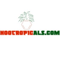 Nootropicals logo - Similar company to Gold Standard Nootropics