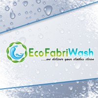 EcoFabriWash logo - Similar company to Lilly White Laundry Private Limited