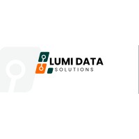 Lumidatasolutions logo - Similar company to Kinplus Technologies