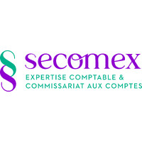 SECOMEX CONSULTING logo - Similar company to Cfg Audit