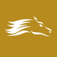 SanJac Alpha logo - Similar company to Safe Harbor Cfo Services