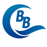 Bombas Braun S.A logo - Similar company to Estec Perú