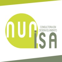 NUNISA CONSULTOR Lda logo - Similar company to Fx Consulting - Mozambique